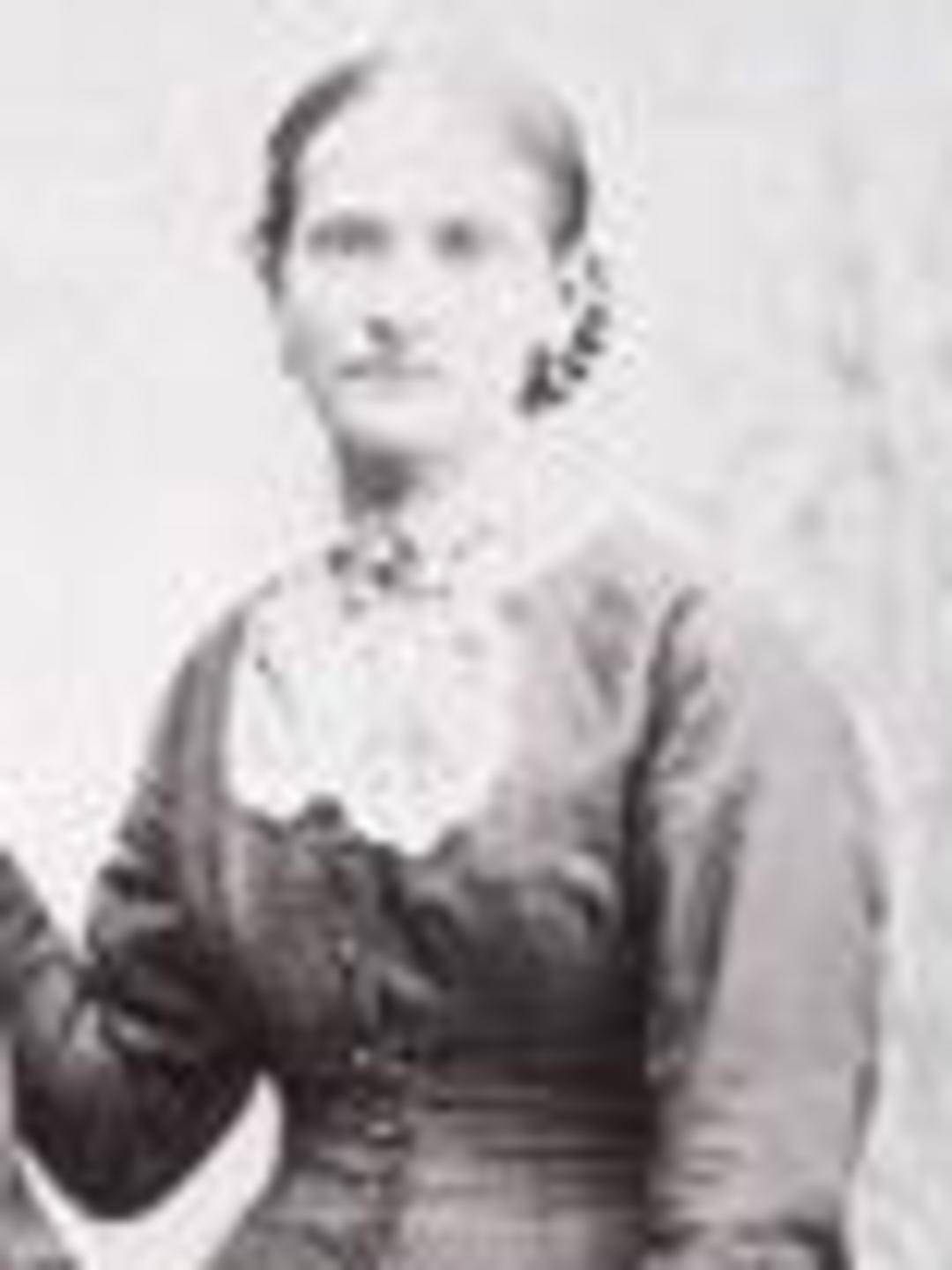 Elizabeth Knudsen Mortensen (1854 - 1905) Profile